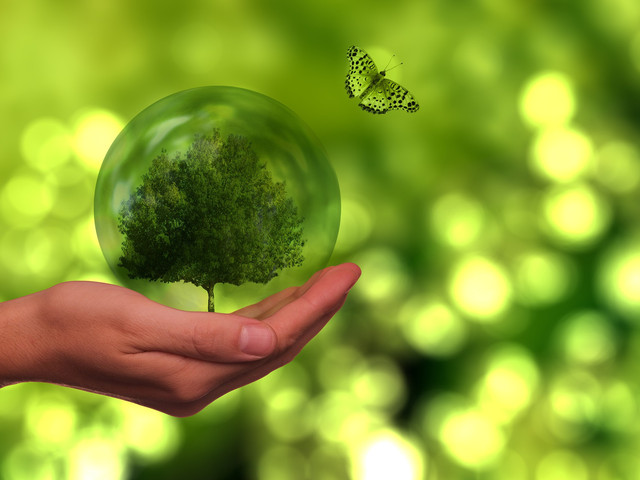 Eine Hand hält einen Glasglobus mit einem Baum darin.