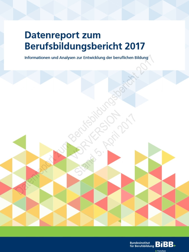 Datenreport zum Berufsbildungsbericht 2017. Quelle: Bundesinstitut für Berufsbildung