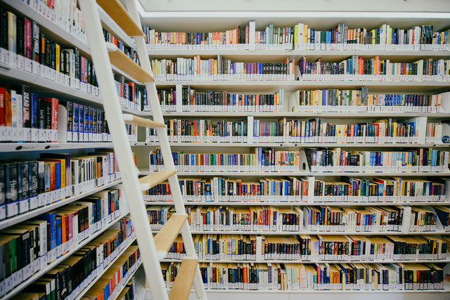 Bücherregale mit angelehnter Leiter