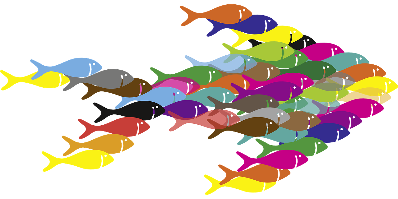Fachgespräch I Viele bunte Fische bilden einen Schwarm in Form eines Rechtspfeils bzw. eines großen Fisches.